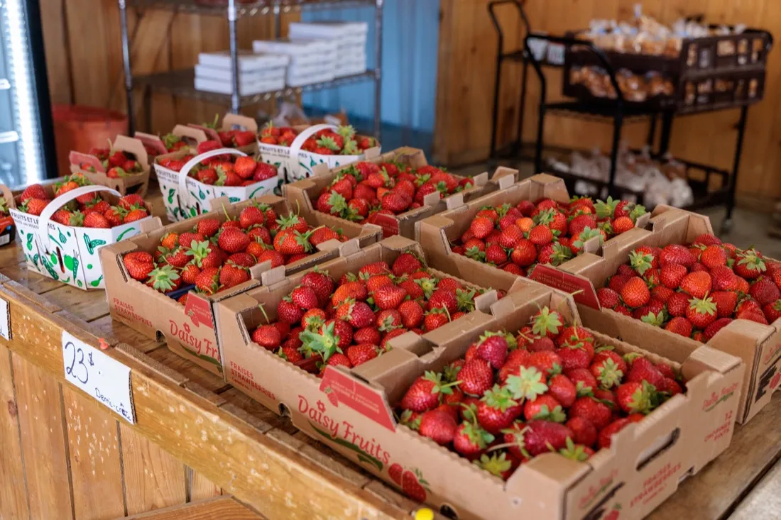 Fraises fraîches au marché local